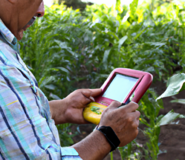 التقدم التكنولوجي في رسم خرائط صحة المحاصيل: تأثير الأسمدة الحيوية والزراعة العضوية