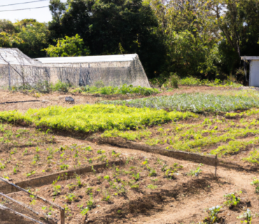 Fertilizantes y Biofertilizantes: Herramientas Ecológicas para la Prevención de Enfermedades en los Cultivos