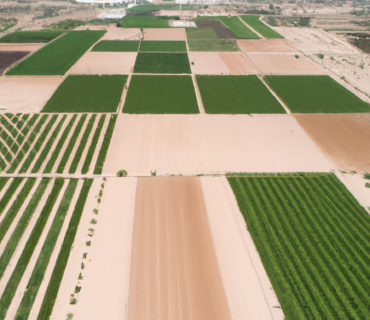 La Revolución Verde: Tecnologías Emergentes y Avances en Fertilizantes, Agricultura Ecológica y Biofertilizantes en el Sector Agrícola de Murcia