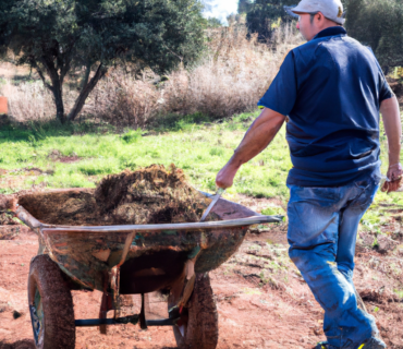 L'impact des biofertilisants sur l'agriculture biologique : une analyse approfondie de leur importance dans l'agriculture de Murcie