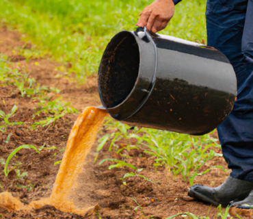 Manejo Eficaz de Productos Fitosanitarios: Una Guía Integral para la Agricultura Ecológica y Uso Responsable de Fertilizantes y Biofertilizantes